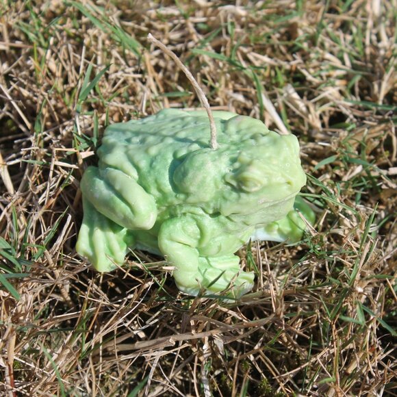 Green Frog Candle - Picture 10 of 14